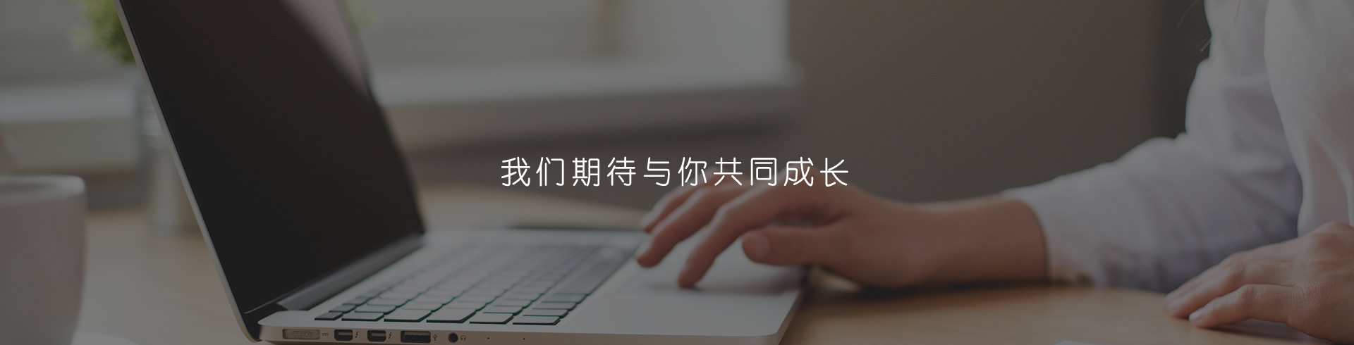 营销网络